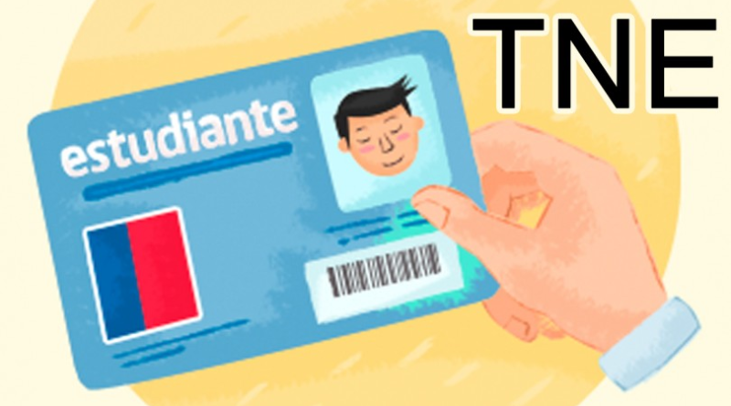 REVALIDACIÓN DE TNE